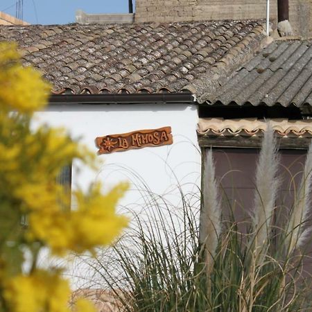 La Mimosa Villa Carcastillo Екстериор снимка