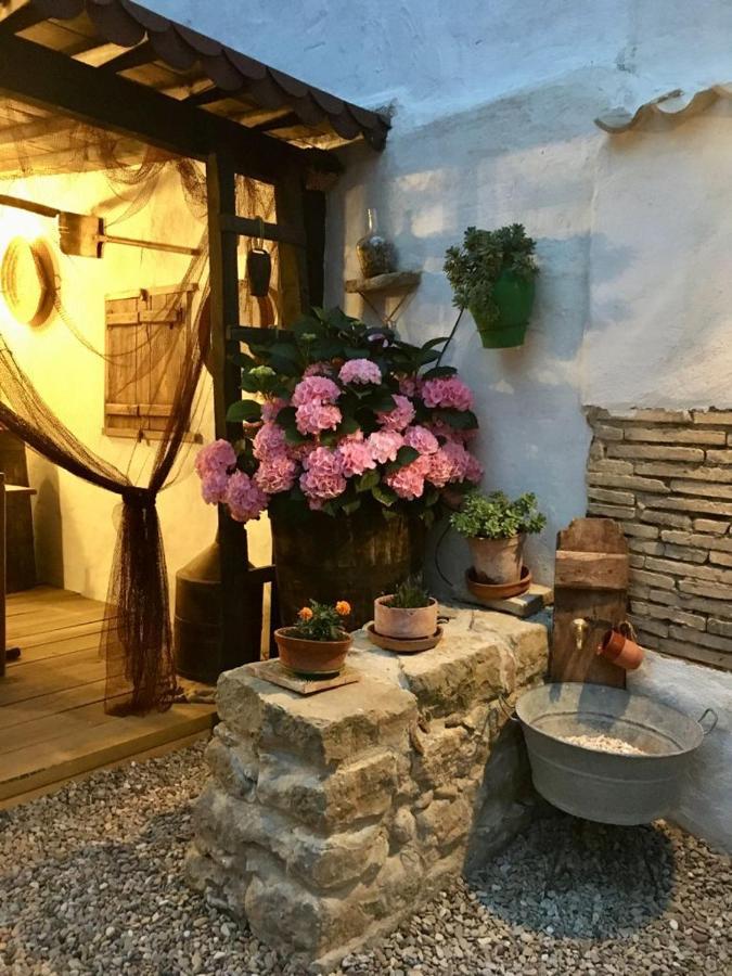 La Mimosa Villa Carcastillo Екстериор снимка